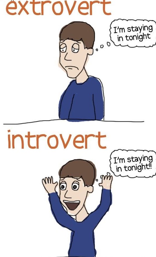 introvert i ekstrovert